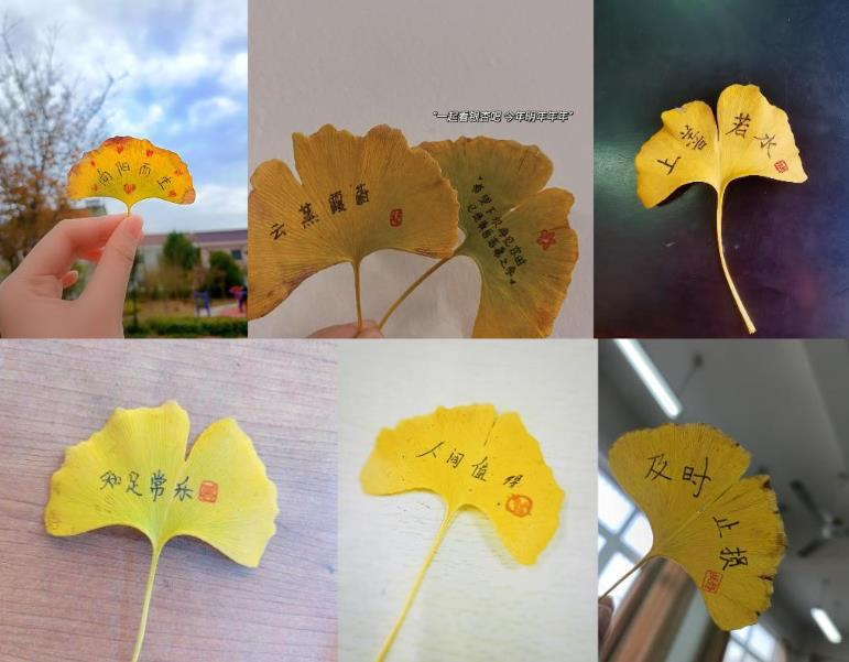 收集秋冬况味，书写人生信条