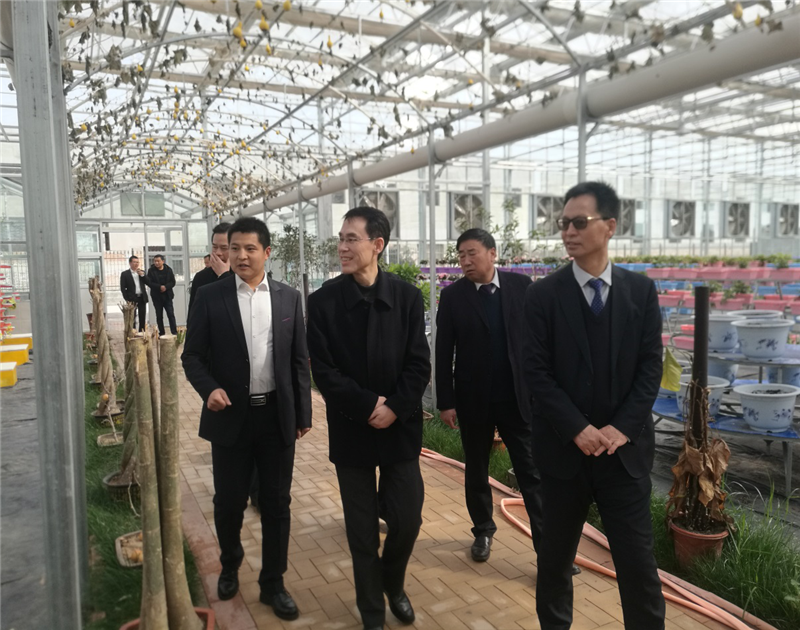 1552460174738060888.png 图片1_副本.png